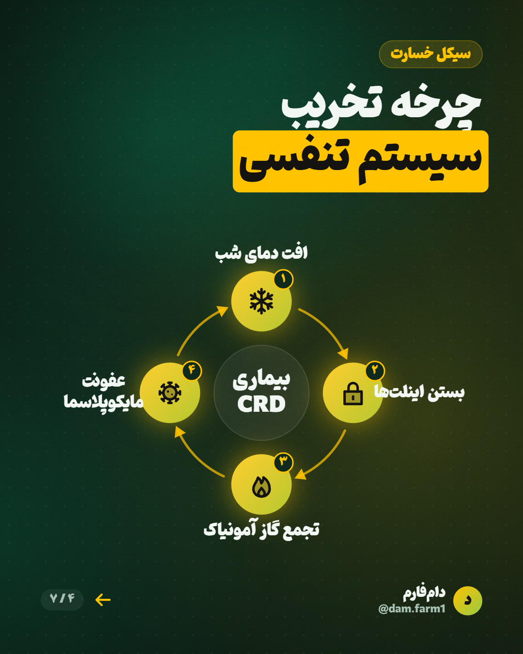 خطر آمونیاک و نوسان دمای پاییز — اسلاید ۴