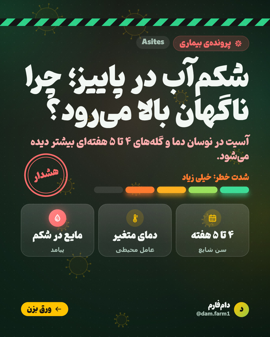 آسیت پاییزی در گلههای سنبالا