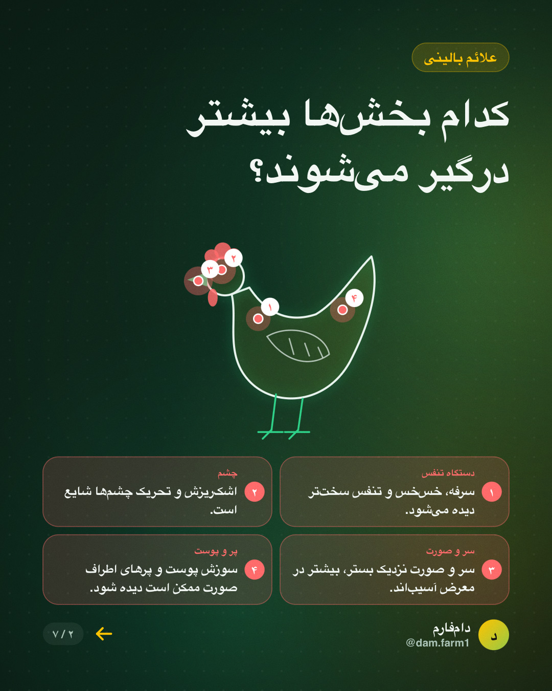 آمونیاکِ پاییزی؛ خطر پنهان سالن — اسلاید ۲
