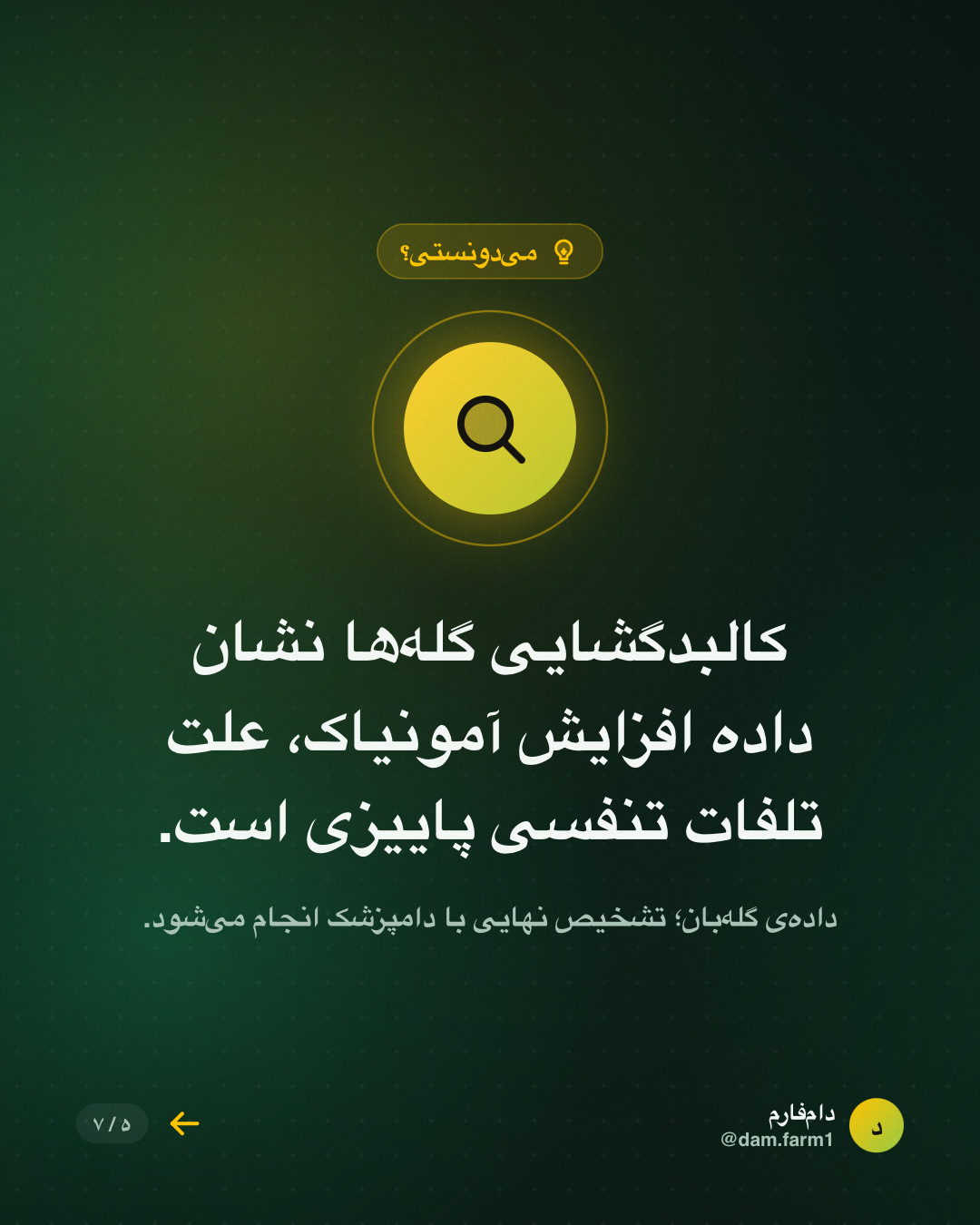 آمونیاکِ پاییزی؛ خطر پنهان سالن — اسلاید ۵
