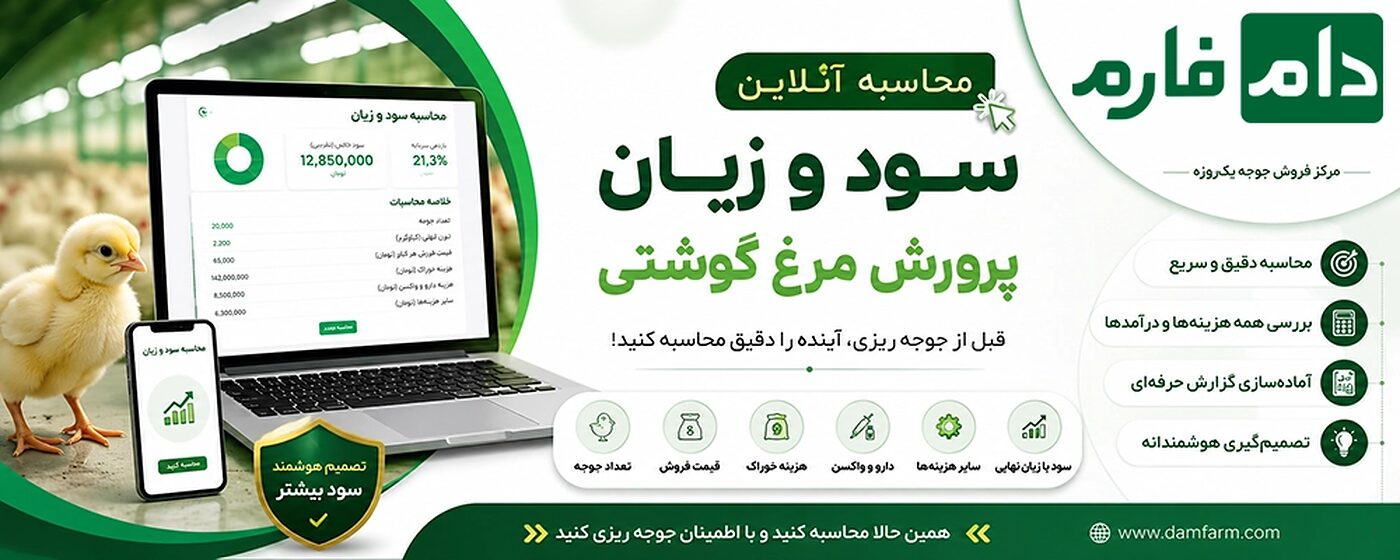ماشین_حساب_سود_مرغداری_|_محاسبه_آنلاین_سود_و_زیان_پرورش_مرغ_گوشتی_دام_فارم