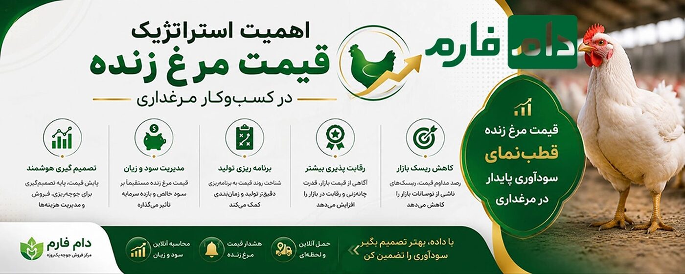 قیمت_مرغ_زنده_،_گران_می‌شه_یا_ارزان_؟_پیش‌بینی_عجیب_برای_هفته_آینده