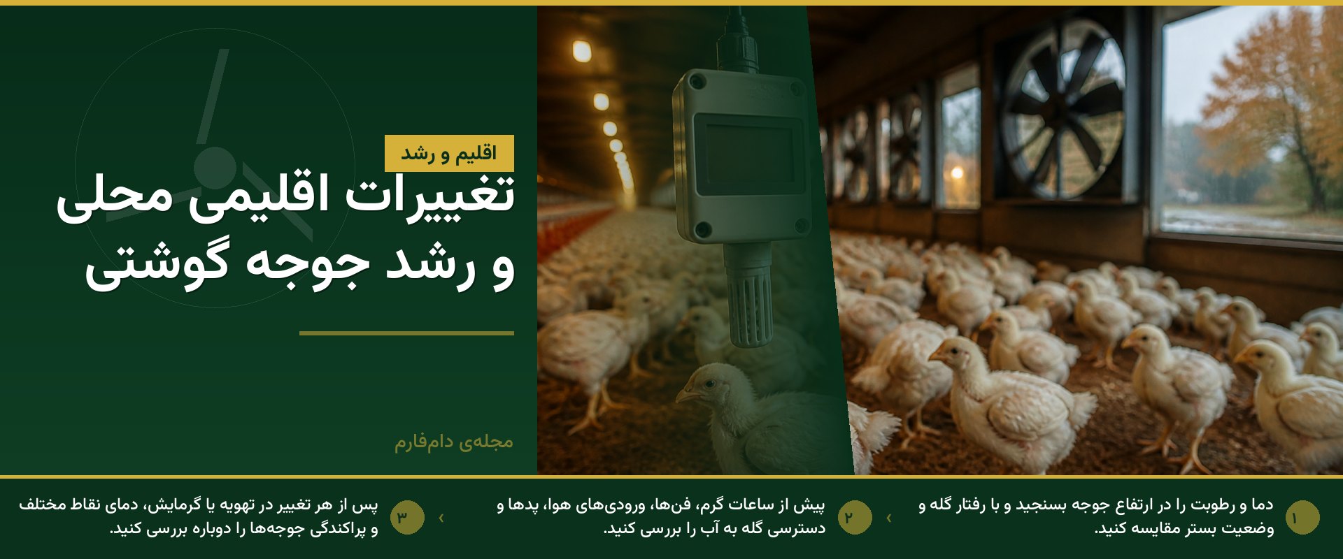 تغییرات اقلیمی محلی و رشد جوجه گوشتی؛ اقدامات عملی