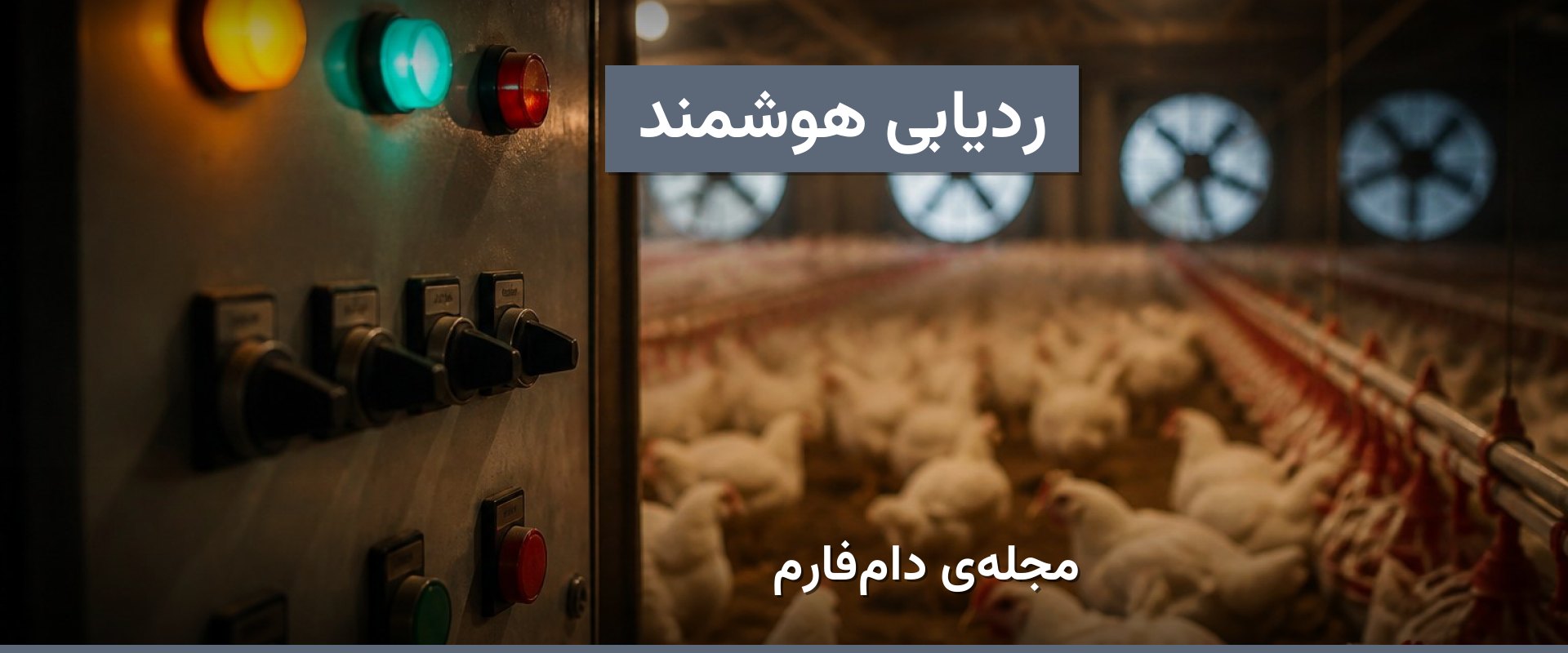 هوشمندسازی چگونه ردیابی محصولات طیور را بهبود می‌دهد؟