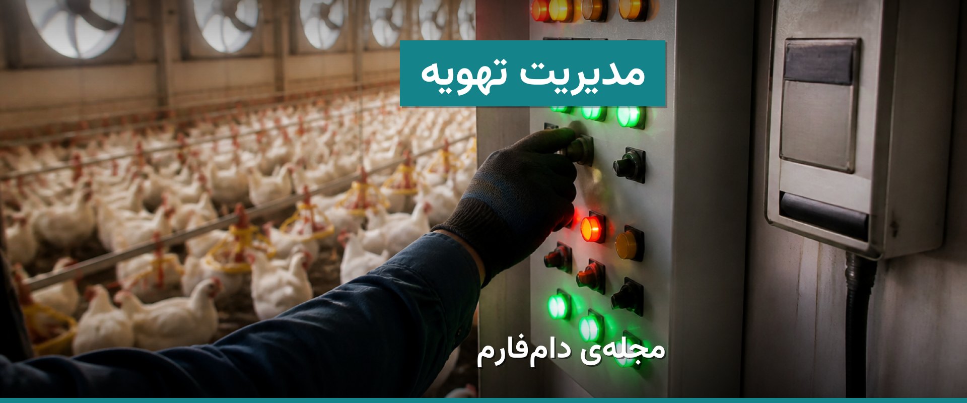 راهکارهای عملی تهویه در مرغداری فشرده