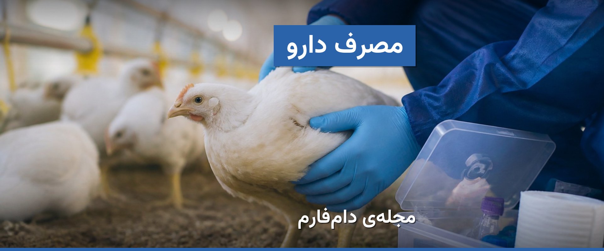 کاهش خطاهای رایج در مصرف داروهای طیور