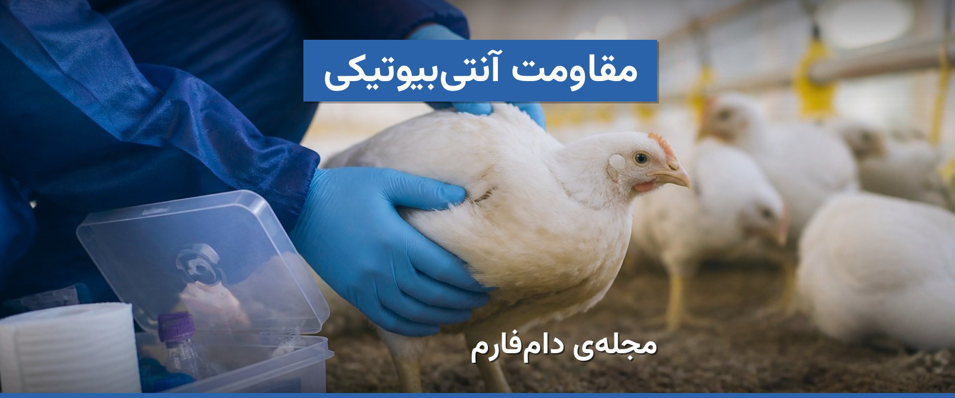 ترکیب دارویی برای کاهش مقاومت آنتی‌بیوتیکی طیور