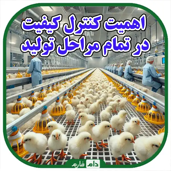 Cooperation-of-Korosh-Livestock-and-Poultry-
