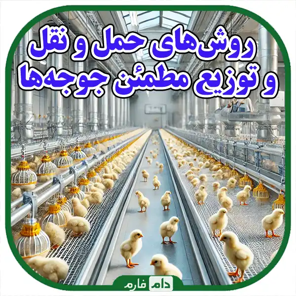 Cooperation-of-Korosh-Livestock-and-Poultry-