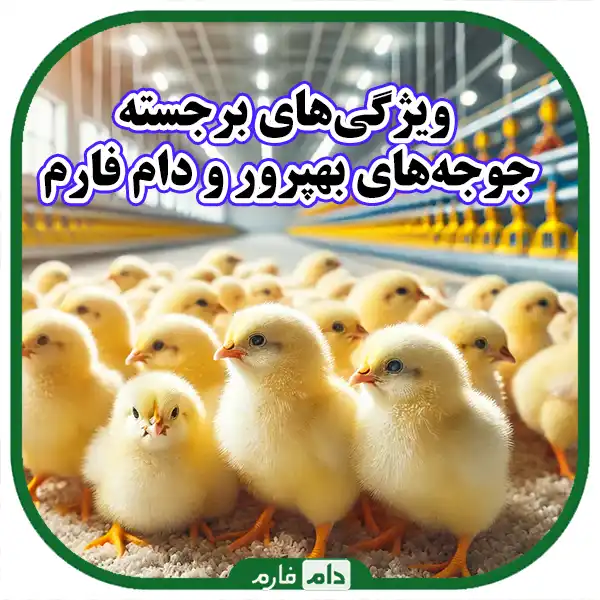 Acquaintance-with-Behparvor-company:-a-constant-companion-of-the-farm