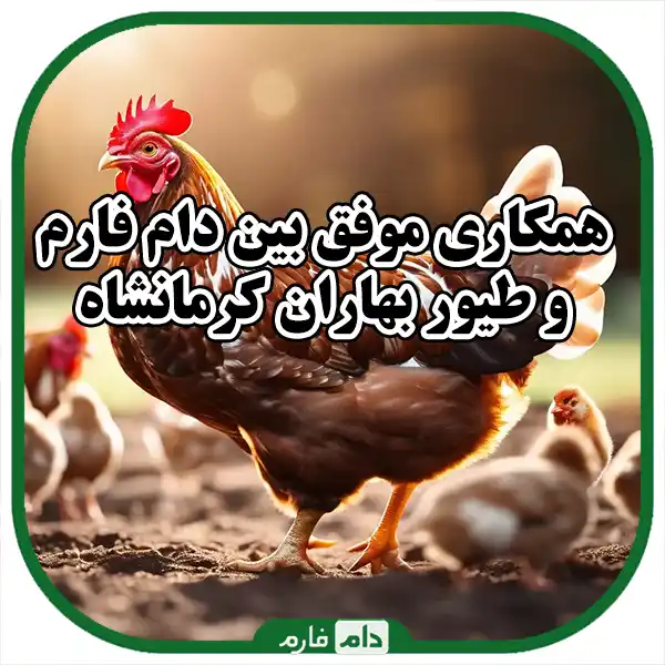 Friendly-cooperation-between-Pet-Farm-and-Kermanshah-Baharan-Poultry-Company