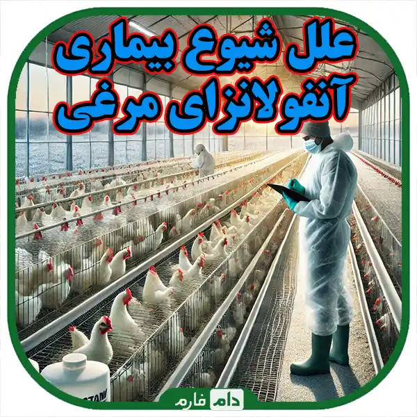 Definitive-treatment-to-vaccination-and-prevention-of-bird-flu-disease
