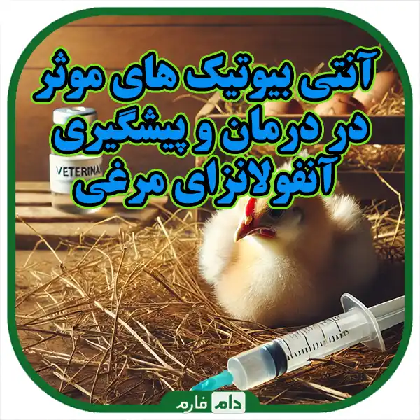 Definitive-treatment-to-vaccination-and-prevention-of-bird-flu-disease