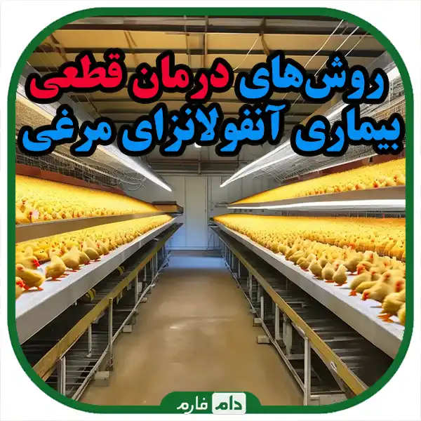 Definitive-treatment-to-vaccination-and-prevention-of-bird-flu-disease