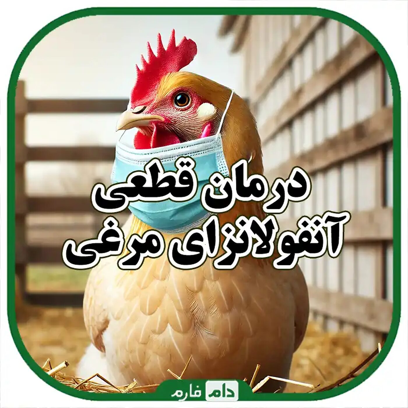 3_درمان_خانگی_مؤثر_برای_مقابله_با_آنفولانزای_مرغی