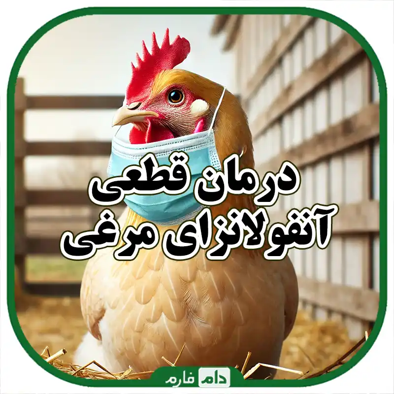 Definitive-treatment-to-vaccination-and-prevention-of-bird-flu-disease
