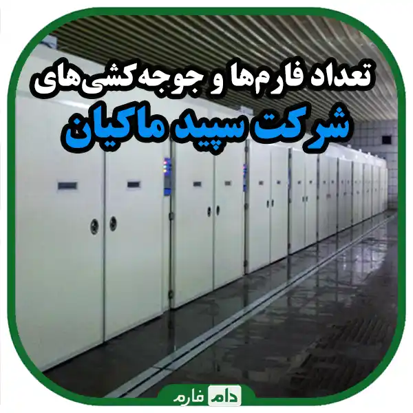 Sale-of-day-old-chicks-of-Sapid-Makian-company