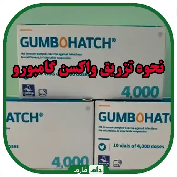 gamboro-medicine