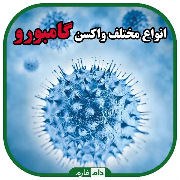 gamboro-medicine