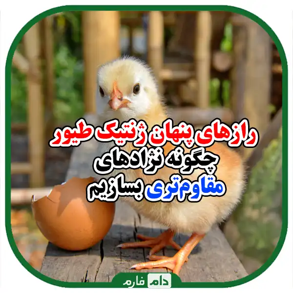 Necessary-training-for-genetics-and-poultry-specialists