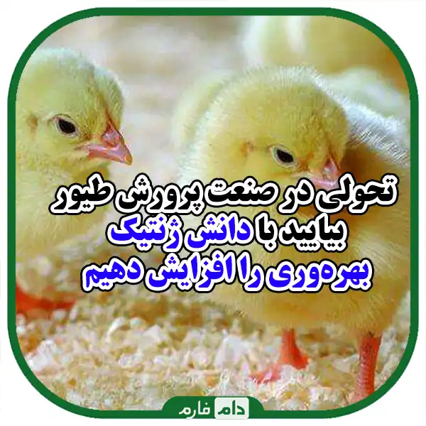 Necessary-training-for-genetics-and-poultry-specialists