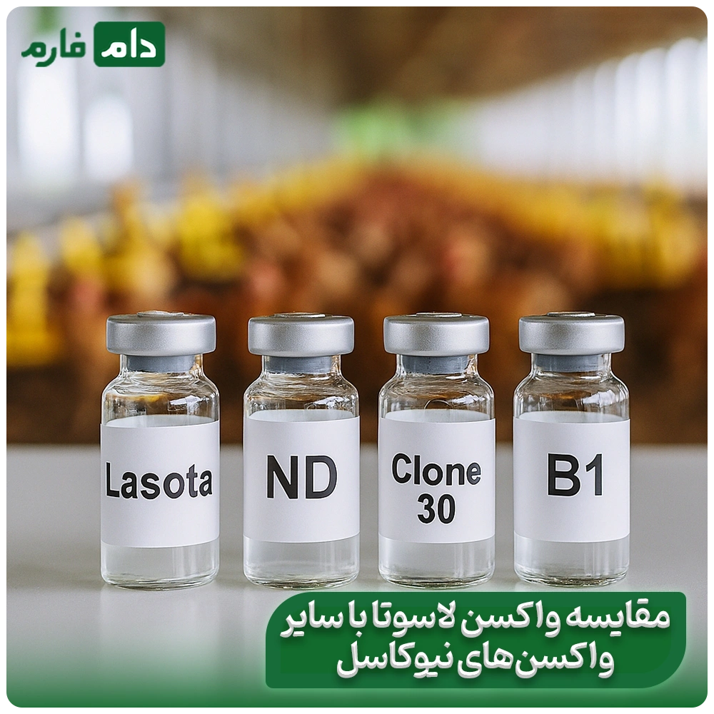 Lasota-vaccine-set-for-Newcastle-treatment-and-its-use