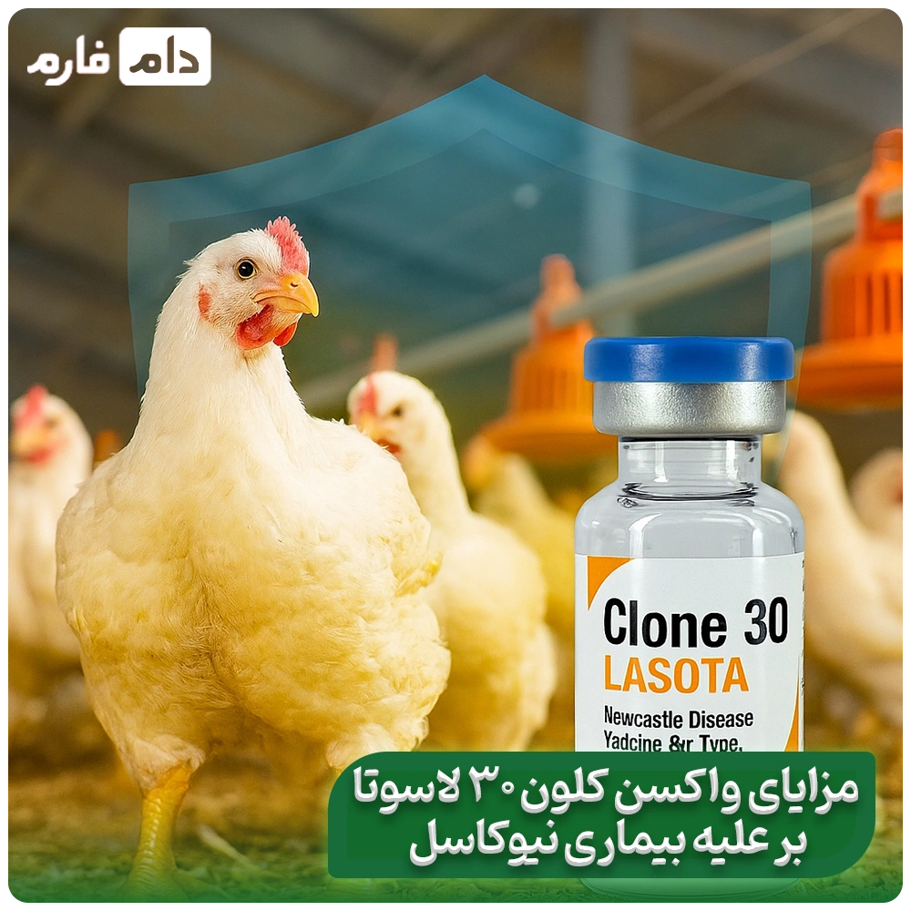 Lasota-vaccine-set-for-Newcastle-treatment-and-its-use