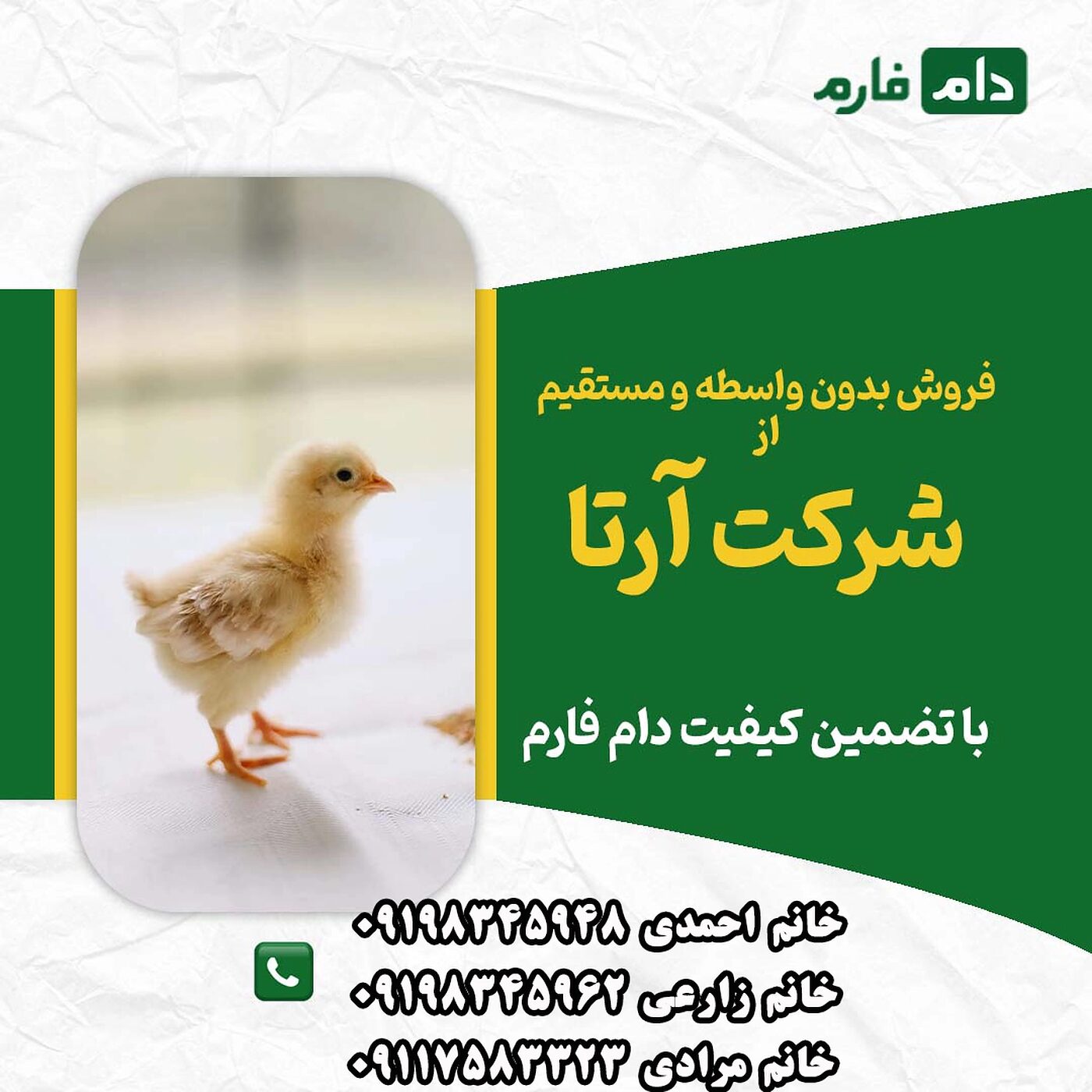 فروش_جوجه_یک_روزه_شرکت_آرتا_جوجه_سبلان_90001101