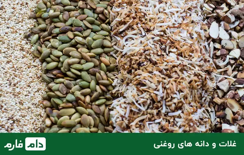 خوراک_دام_بزرگ_و_کوچک_انواع_آن