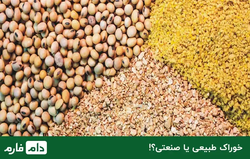 livestock-and-poultry-feed