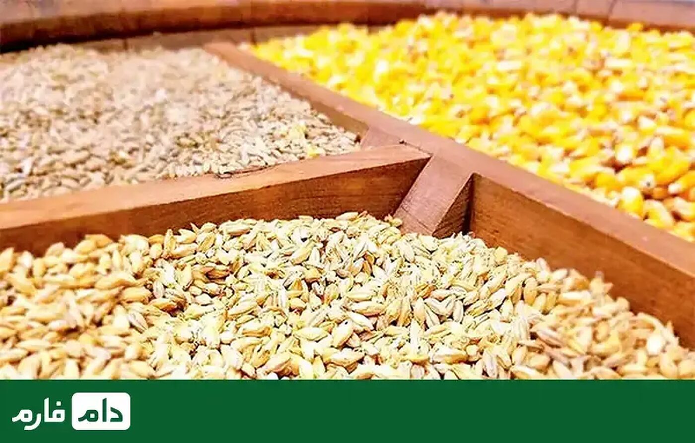 خوراک_طیور؛_انواع،_طرز_تهیه_و_قیمت_خوراک_طیور