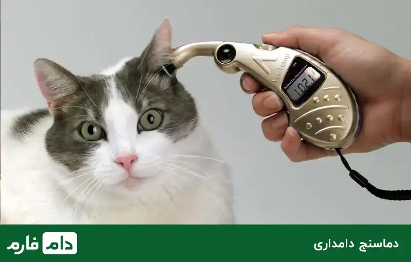 livestock-tools-and-equipment