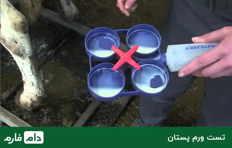 livestock-tools-and-equipment