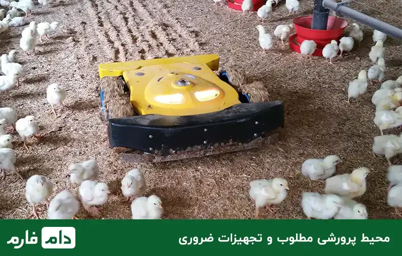 setting-up-a-poultry-farm