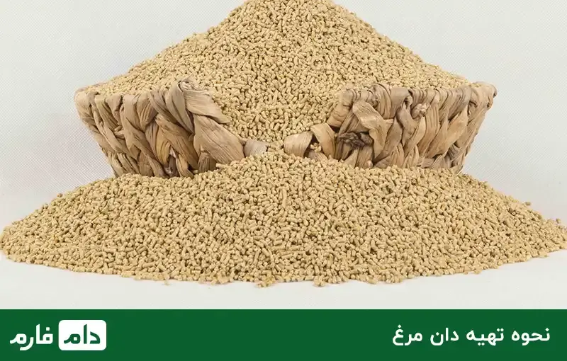 livestock-and-poultry-feed