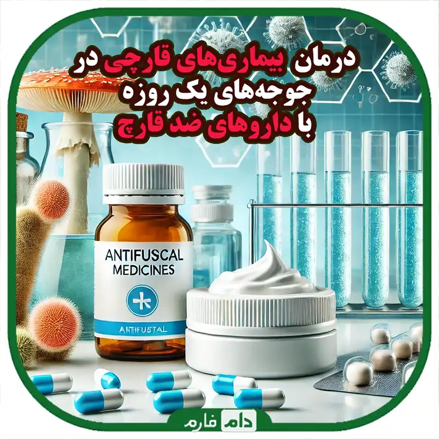 پیشگیری_از_بیماری‌های_قارچی_در_جوجه‌های_یک_روزه