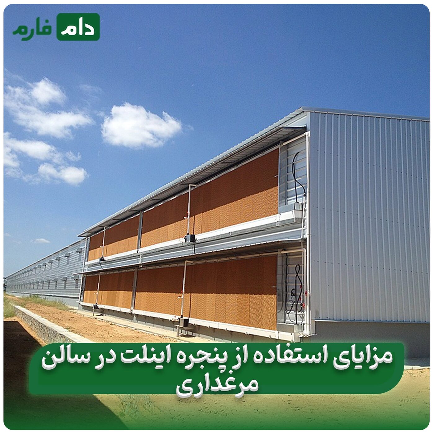 مزایای استفاده از پنجره اینلت در سالن مرغداری