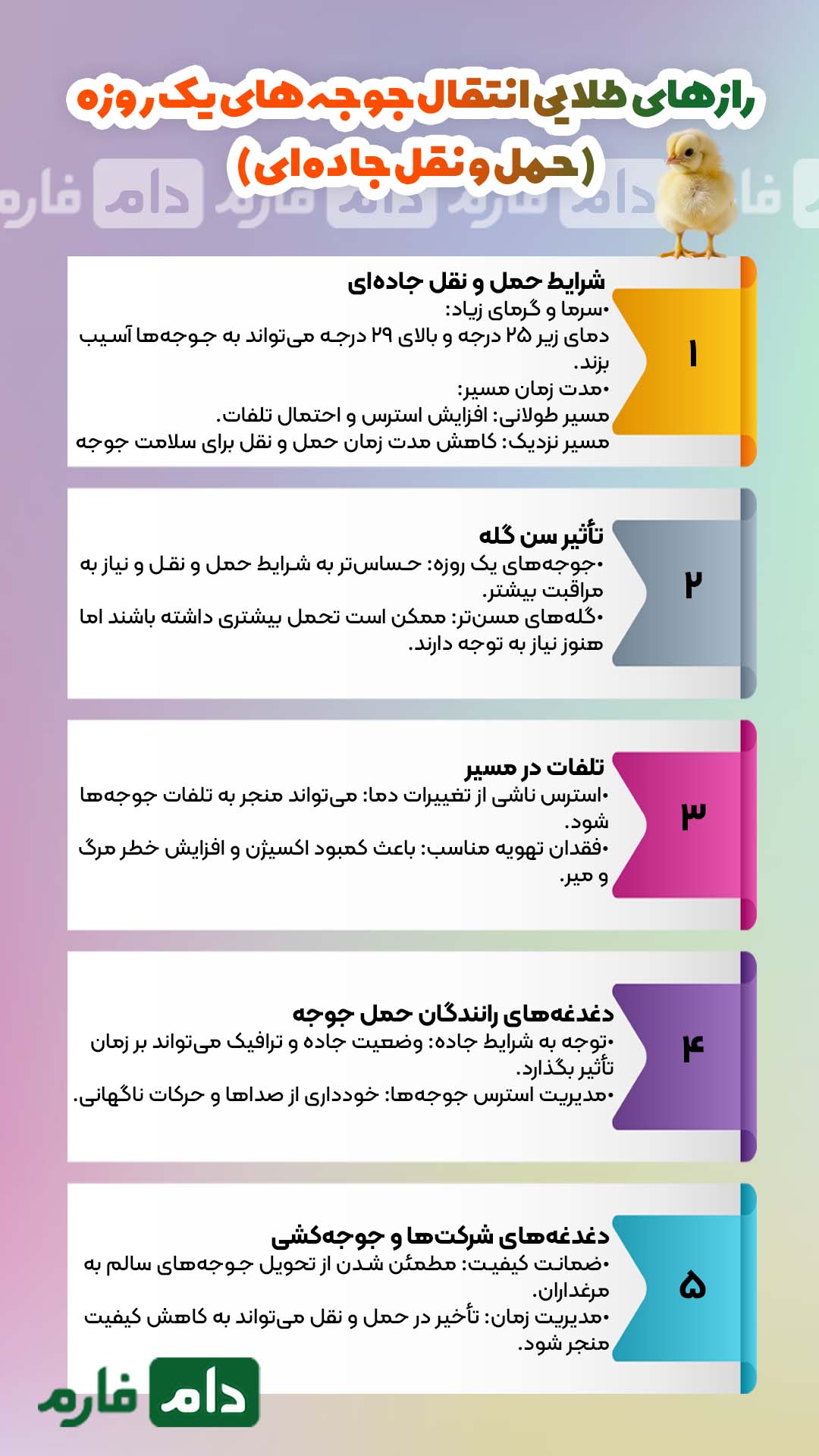 رازهای_طلایی_انتقال_جوجه‌های_یک_روزه_:_چگونه_با_حمل_و_نقل_اصولی،_سودآوری_مرغداری_خود_را_تضمین_کنیم