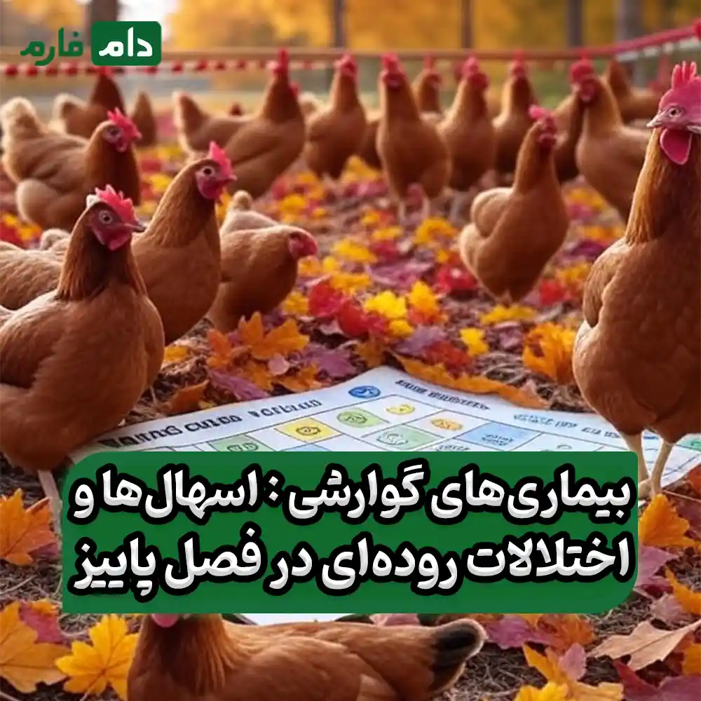 Common-fall-diseases-that-every-poultry-farmer-should-know-about