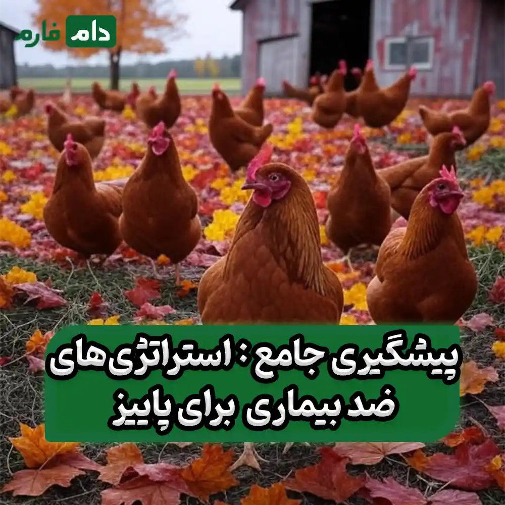 Common-fall-diseases-that-every-poultry-farmer-should-know-about