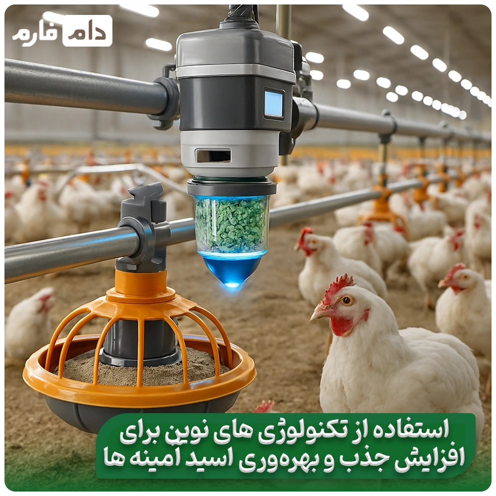 Essential-amino-acids-in-broiler-nutritionrole-requirement-and-optimal-management