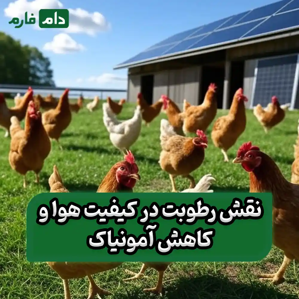How-solar-panels-are-transforming-poultry-farms
