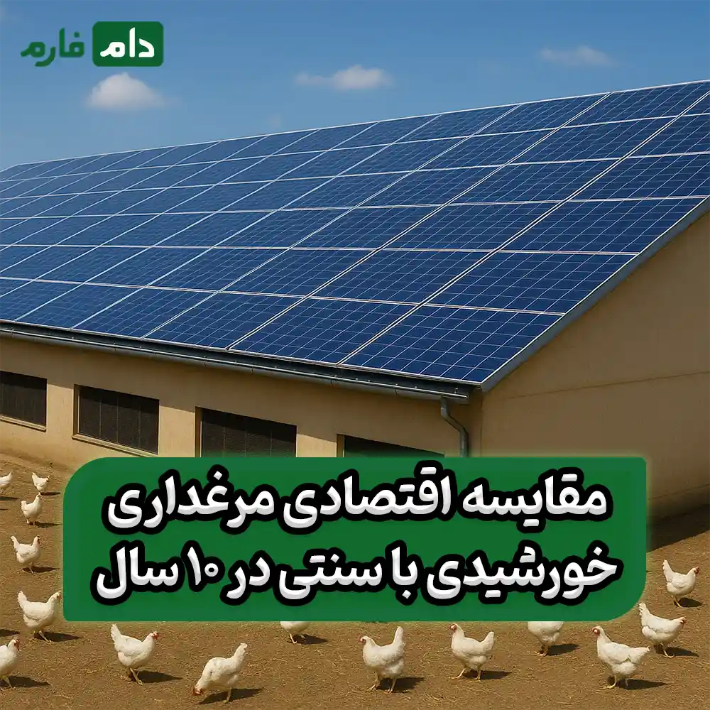 How-solar-panels-are-transforming-poultry-farms
