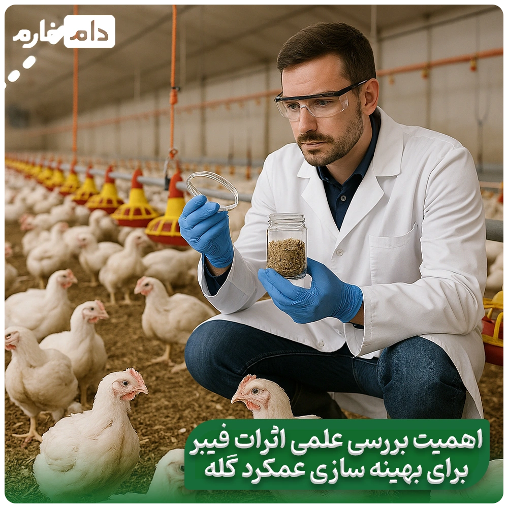 Evaluating-the-effects-of-dietary-fiber-in-chicken-nutrition