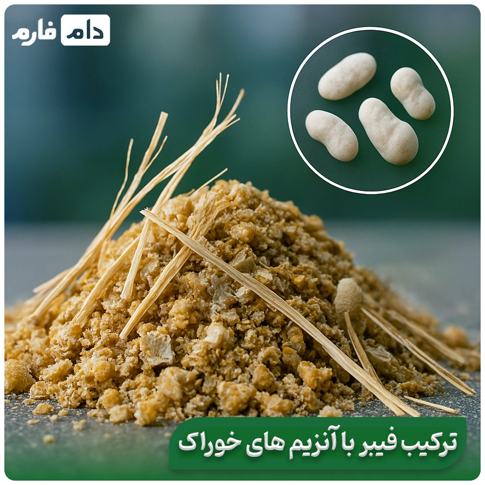 Evaluating-the-effects-of-dietary-fiber-in-chicken-nutrition