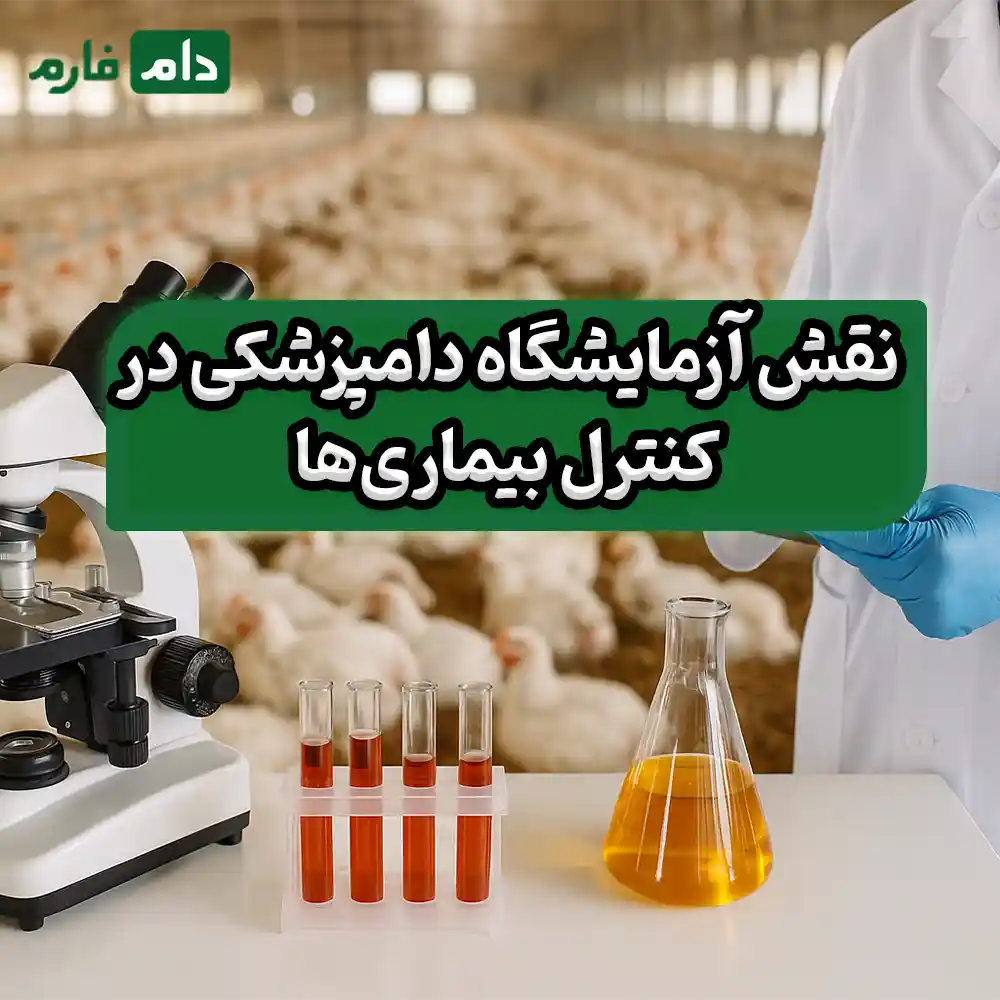 تاثیر_آزمایشگاه_دامپزشکی_بر_صنعت_مرغداری