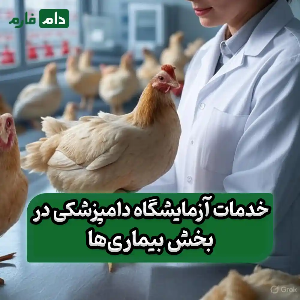 The-impact-of-veterinary-laboratories-on-the-poultry-industry