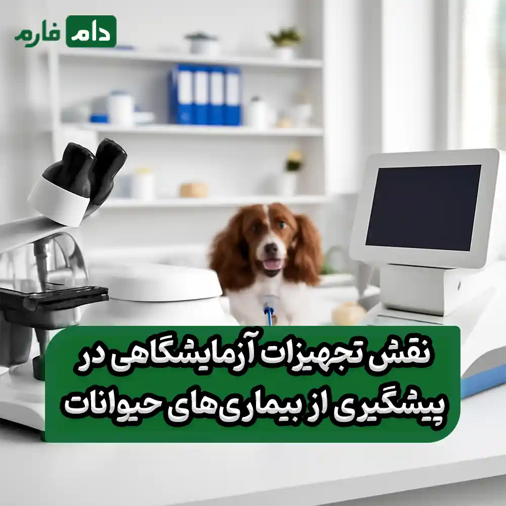 Why-laboratory-equipment-is-important-in-veterinary-medicine