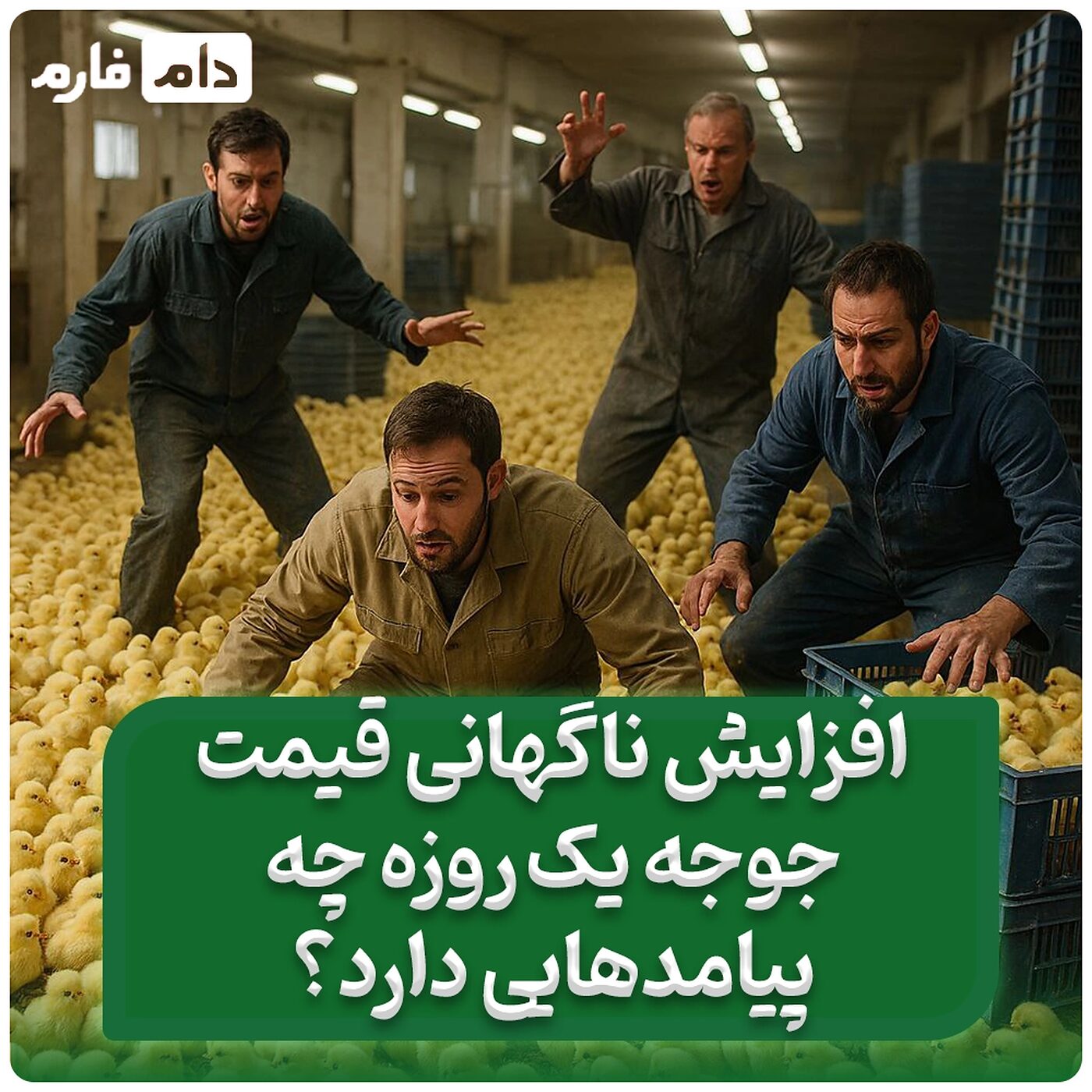 5_علت_افزایش_ناگهانی_قیمت_جوجه_یک_روزه_و_پیامدهای_آن