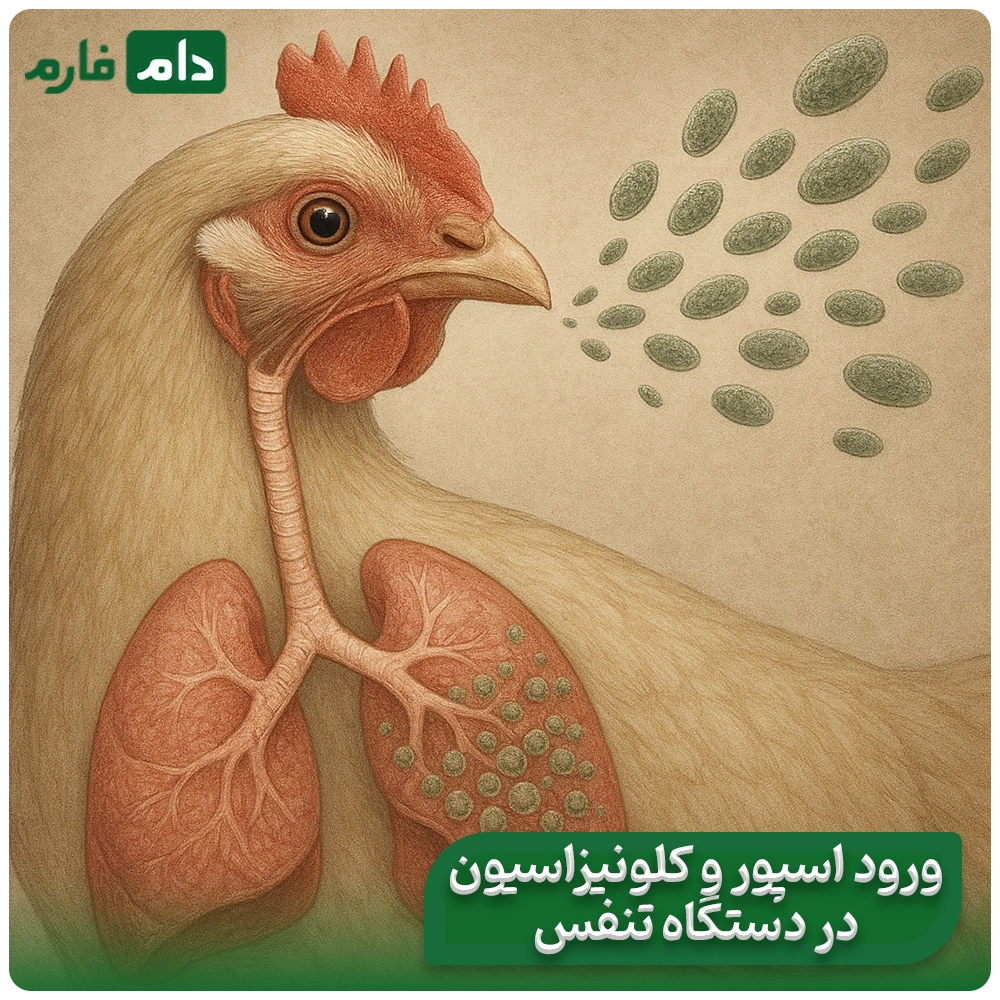 What-is-Aspergillus-disease-in-poultry-Aspergillus-disease